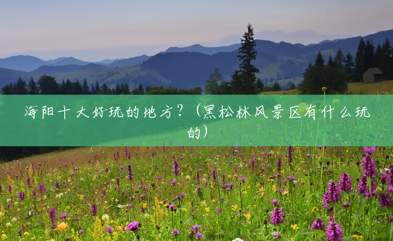 海阳十大好玩的地方?(黑松林风景区有什么玩的) 海阳十大好玩的地方?(黑松林风景区有什么玩的)