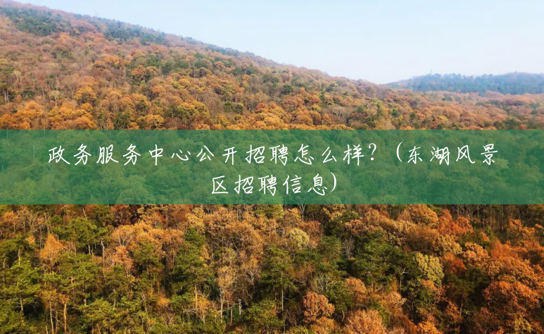 政务服务中心公开招聘怎么样?(东湖风景区招聘信息) 政务服务中心公开招聘怎么样?(东湖风景区招聘信息)
