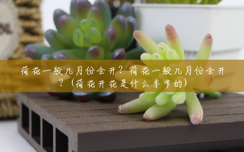 荷花一般几月份会开?荷花一般几月份会开?(荷花开花是什么季节的) 荷花一般几月份会开?荷花一般几月份会开?(荷花开花是什么季节的)