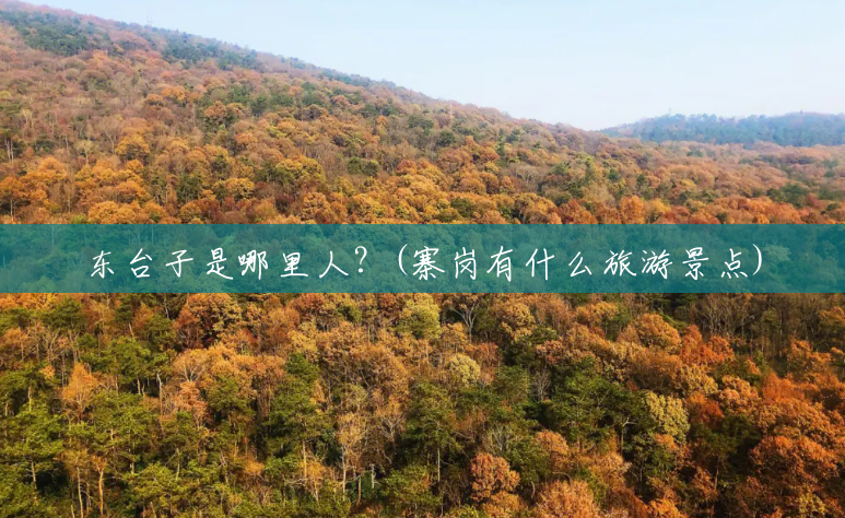 东台子是哪里人？(寨岗有什么旅游景点)
