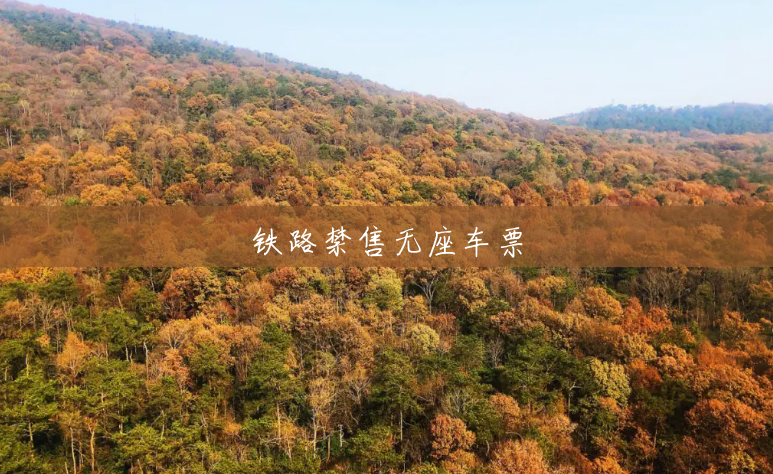 铁路禁售无座车票 铁路禁售无座车票