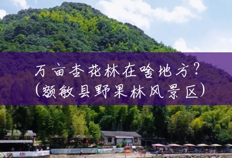 万亩杏花林在啥地方?(额敏县野果林风景区) 万亩杏花林在啥地方?(额敏县野果林风景区)