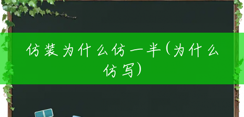 仿装为什么仿一半(为什么仿写) 仿装为什么仿一半(为什么仿写)