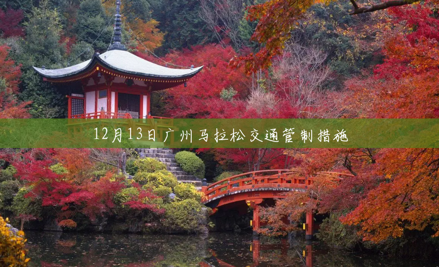 12月13日广州马拉松交通管制措施