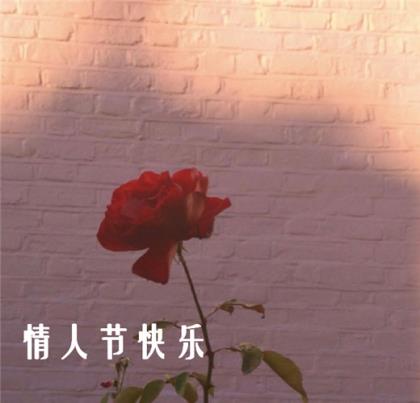 紫罗兰永恒花园语