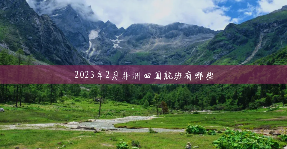 2023年2月非洲回国航班有哪些 2023年2月非洲回国航班有哪些
