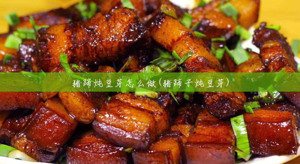 猪蹄炖豆芽怎么做(猪蹄子炖豆芽) 猪蹄炖豆芽怎么做(猪蹄子炖豆芽)