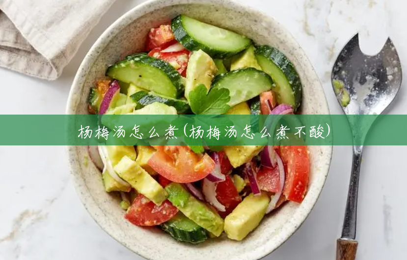 杨梅汤怎么煮(杨梅汤怎么煮不酸)