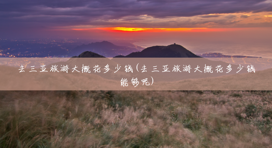 去三亚旅游大概花多少钱(去三亚旅游大概花多少钱能够呢)