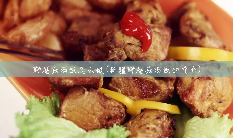 野蘑菇汤饭怎么做(新疆野蘑菇汤饭的简介) 野蘑菇汤饭怎么做(新疆野蘑菇汤饭的简介)