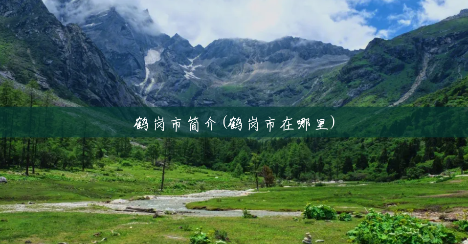 鹤岗市简介(鹤岗市在哪里) 鹤岗市简介(鹤岗市在哪里)
