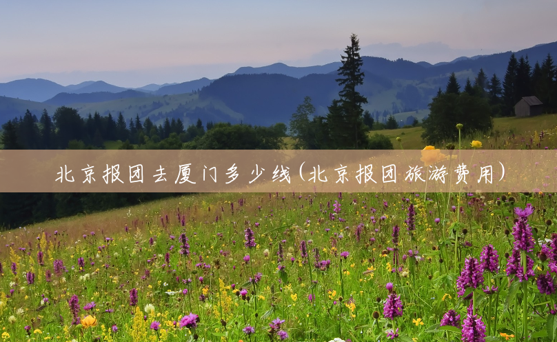 北京报团去厦门多少线(北京报团旅游费用)