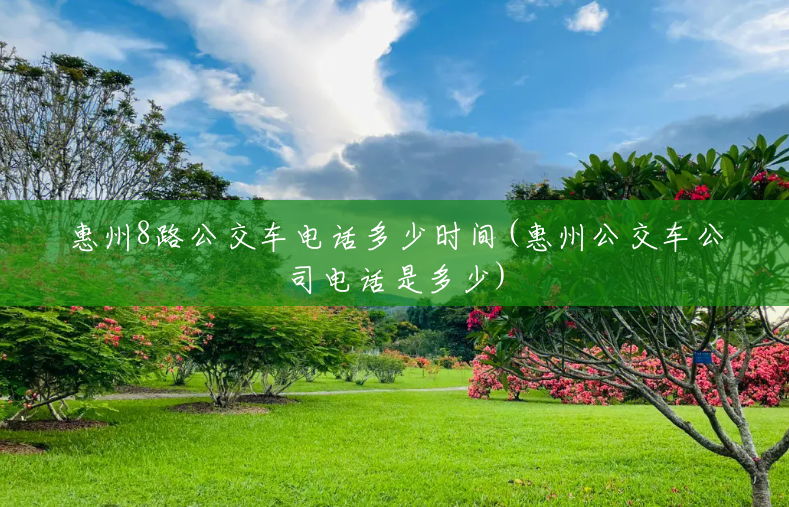 惠州8路公交车电话多少时间(惠州公交车公司电话是多少)