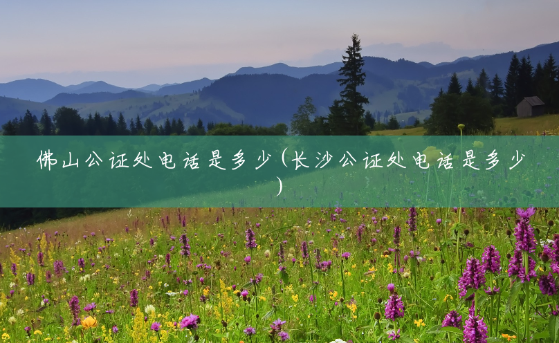 佛山公证处电话是多少(长沙公证处电话是多少) 佛山公证处电话是多少(长沙公证处电话是多少)