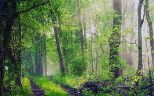 2023年适合秋天发朋友圈的说说