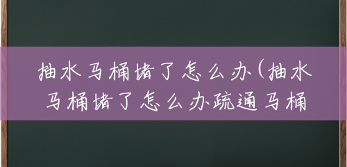 抽水马桶堵了怎么办(抽水马桶堵了怎么办疏通马桶有妙招)