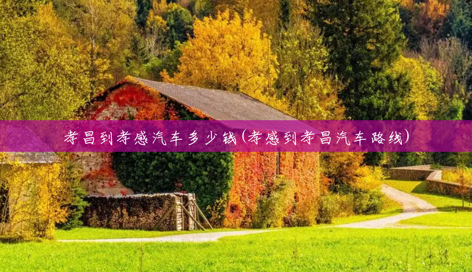 孝昌到孝感汽车多少钱(孝感到孝昌汽车路线) 孝昌到孝感汽车多少钱(孝感到孝昌汽车路线)