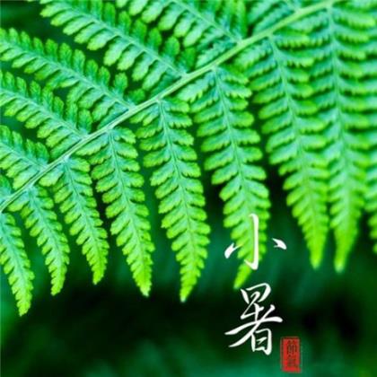 段子手经典语录2023