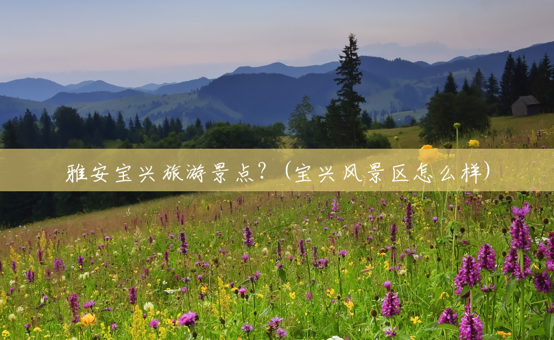雅安宝兴旅游景点？(宝兴风景区怎么样)