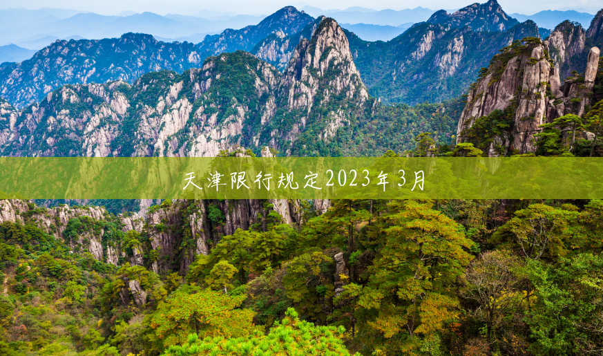 天津限行规定2023年3月 天津限行规定2023年3月