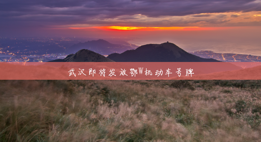 武汉即将发放鄂W机动车号牌 武汉即将发放鄂W机动车号牌