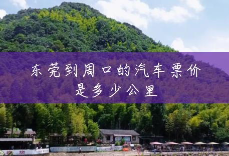 东莞到周口的汽车票价是多少公里