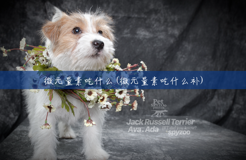 微元量素吃什么(微元量素吃什么补) 微元量素吃什么(微元量素吃什么补)
