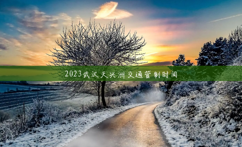 2023武汉天兴洲交通管制时间