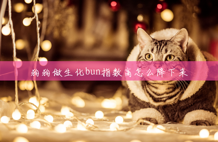 狗狗做生化bun指数高怎么降下来 狗狗做生化bun指数高怎么降下来