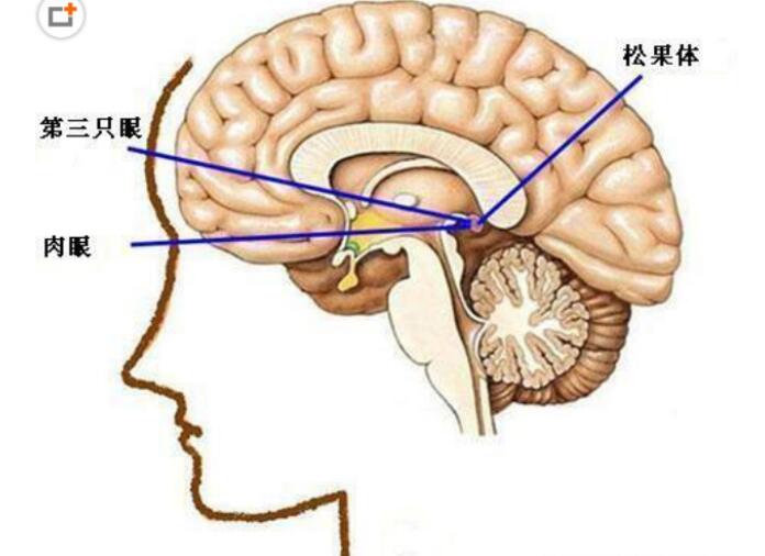 开了天眼的人后果有哪些,开了天眼的人啥特征? 本文共(987字)