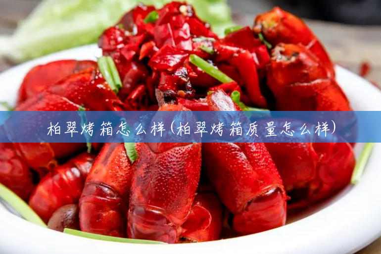 柏翠烤箱怎么样(柏翠烤箱质量怎么样) 柏翠烤箱怎么样(柏翠烤箱质量怎么样)