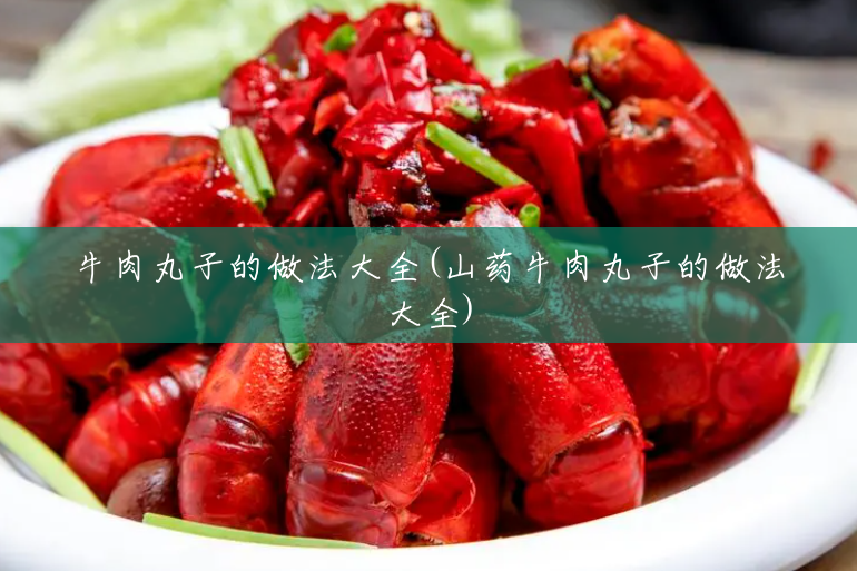 牛肉丸子的做法大全(山药牛肉丸子的做法大全) 牛肉丸子的做法大全(山药牛肉丸子的做法大全)