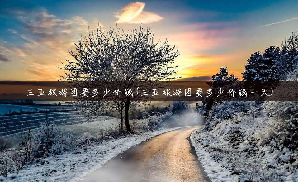三亚旅游团要多少价钱(三亚旅游团要多少价钱一天) 三亚旅游团要多少价钱(三亚旅游团要多少价钱一天)