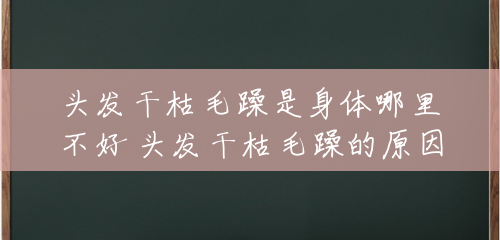 头发干枯毛躁是身体哪里不好 头发干枯毛躁的原因 头发干枯毛躁是身体哪里不好 头发干枯毛躁的原因