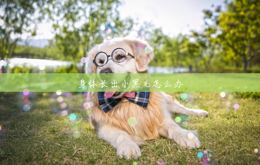 身体长出小黑毛怎么办 身体长出小黑毛怎么办