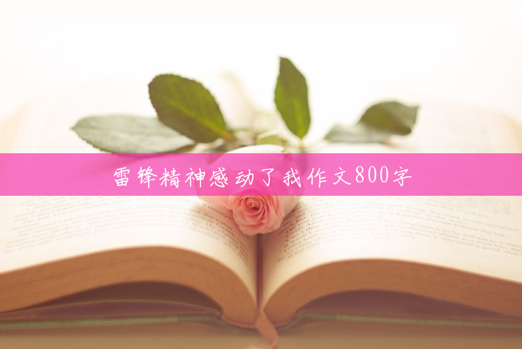 雷锋精神感动了我作文800字 雷锋精神感动了我作文800字