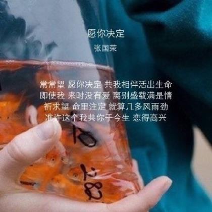 宝妈励志语录正能量