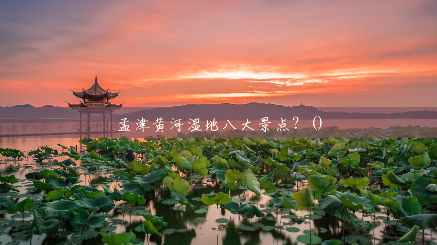 孟津黄河湿地八大景点？()
