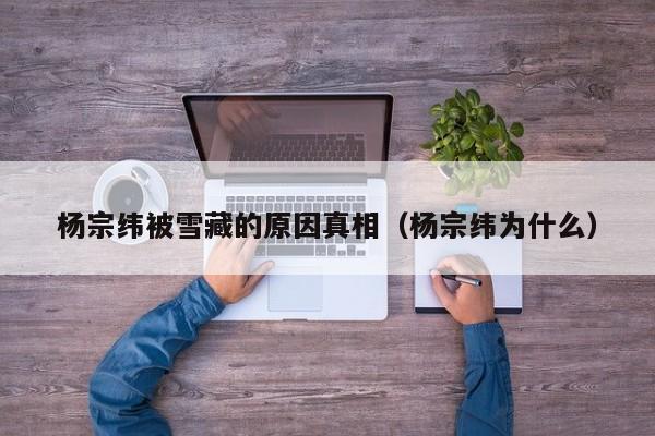 杨宗纬被雪藏的原因真相(杨宗纬为什么)