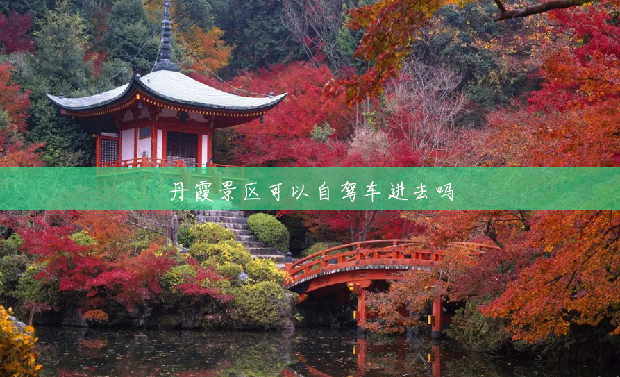 丹霞景区可以自驾车进去吗