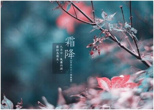 过春节的好词好