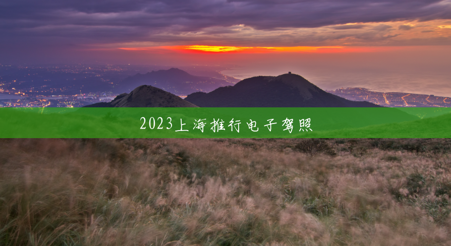 2023上海推行电子驾照 2023上海推行电子驾照