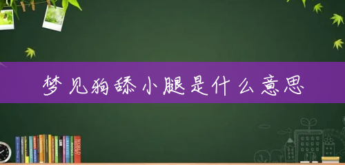 梦见狗舔小腿是什么意思