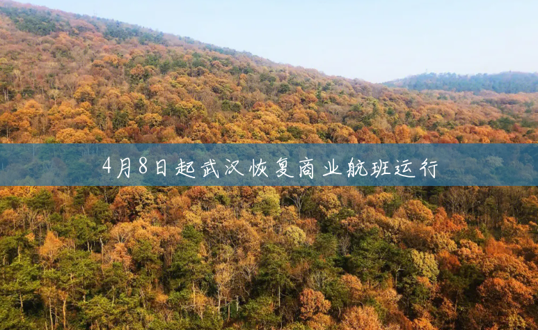 4月8日起武汉恢复商业航班运行 4月8日起武汉恢复商业航班运行