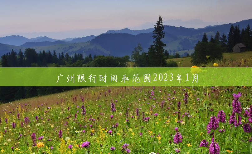 广州限行时间和范围2023年1月