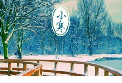永远不相信爱情的说说