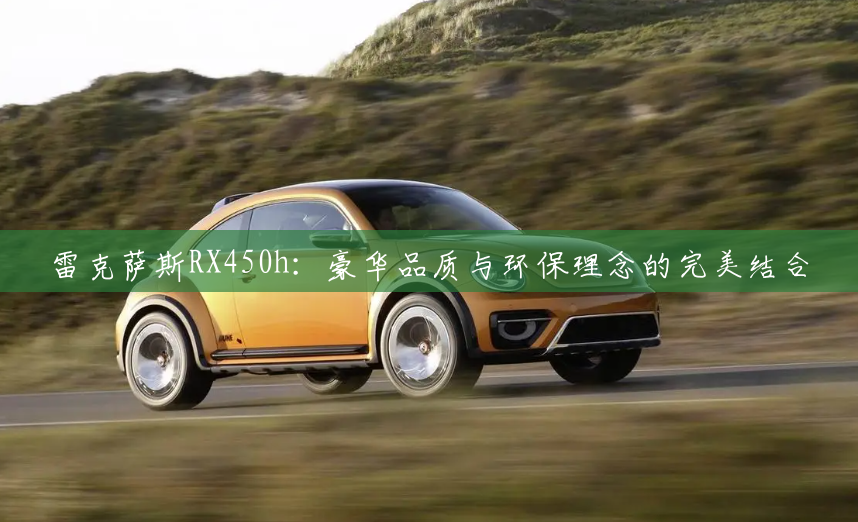 雷克萨斯RX450h：豪华品质与环保理念的完美结合