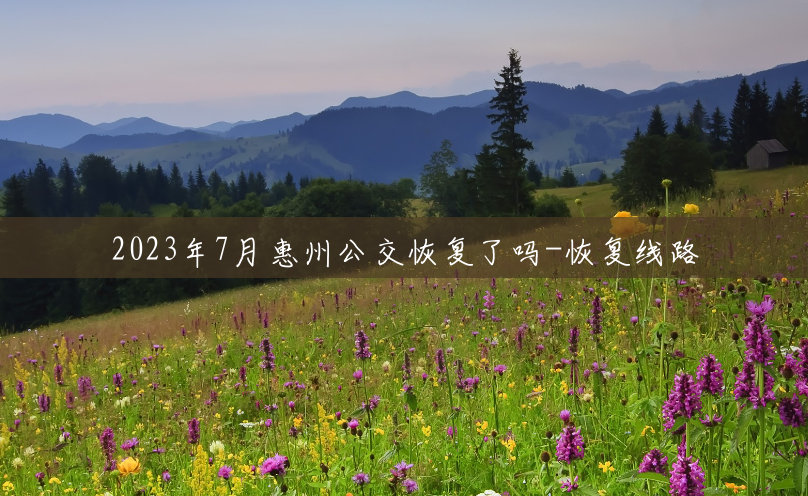 2023年7月惠州公交恢复了吗-恢复线路