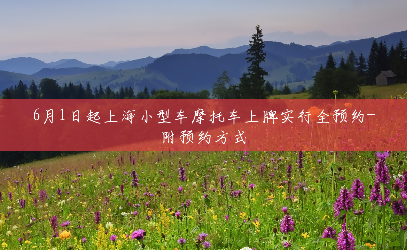 6月1日起上海小型车摩托车上牌实行全预约-附预约方式 6月1日起上海小型车摩托车上牌实行全预约-附预约方式