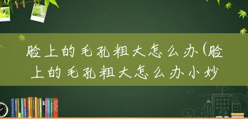 脸上的毛孔粗大怎么办(脸上的毛孔粗大怎么办小妙招)
